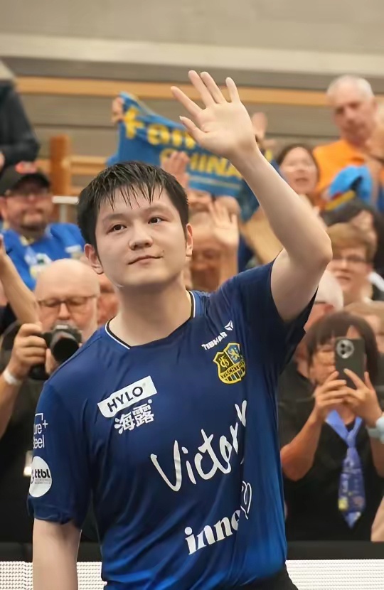 东东阿阿胶 东东阿阿胶